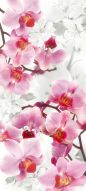 Фреска нежные орхидеи