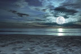 Фотообои лунный пляж