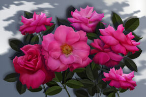 Фотообои Букет цветов с крупными лепестками