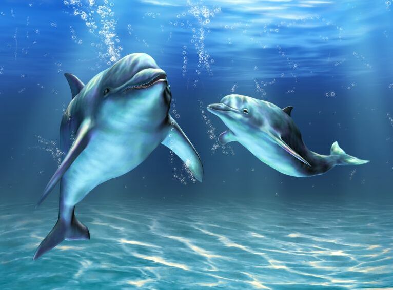 Картина на холсте Дельфины под водой, арт hd0476401