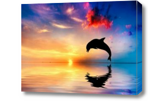 Картина Играющий дельфин